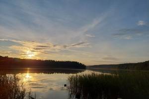 20210703_2019561_original